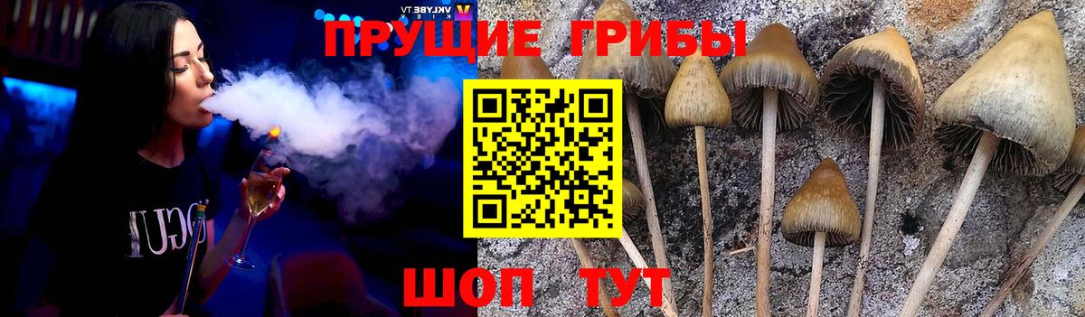 закладка  Галлюциногенные грибы MAGIC MUSHROOMS  Вход с VPN  Тобольск 